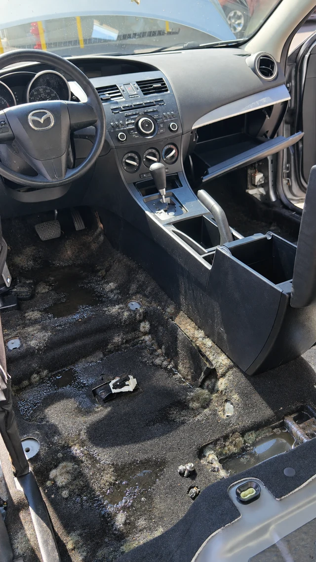 Mazda front carpeting and exposed seat mounting points with water and mold shown on the floor