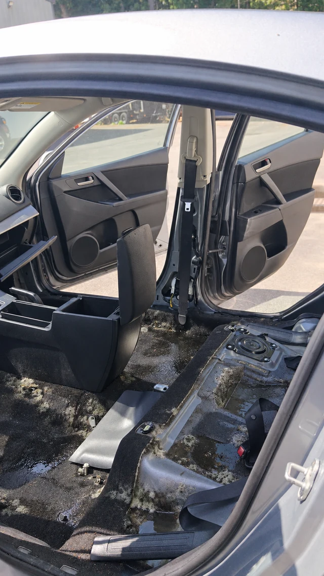 Mazda cabin with seats removed and water and mold shown across the floor
