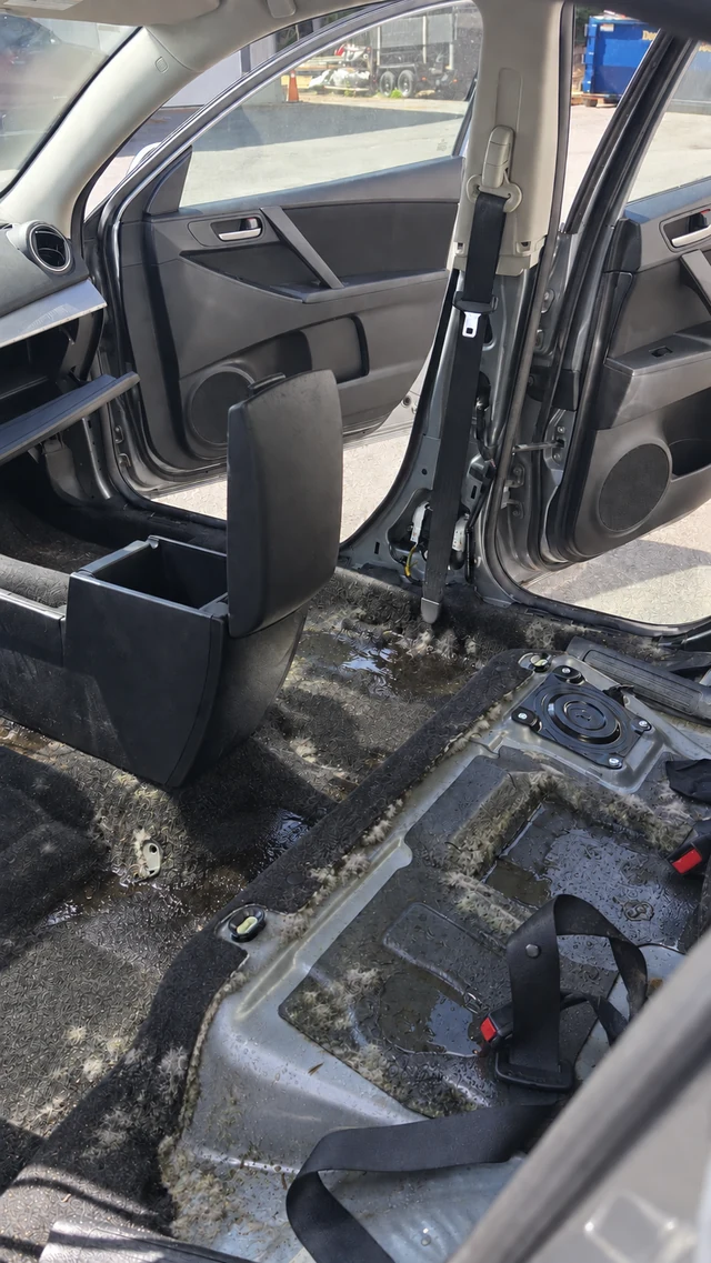 Mazda rear-seat floor after seat removal, showing water and mold around the seat pan