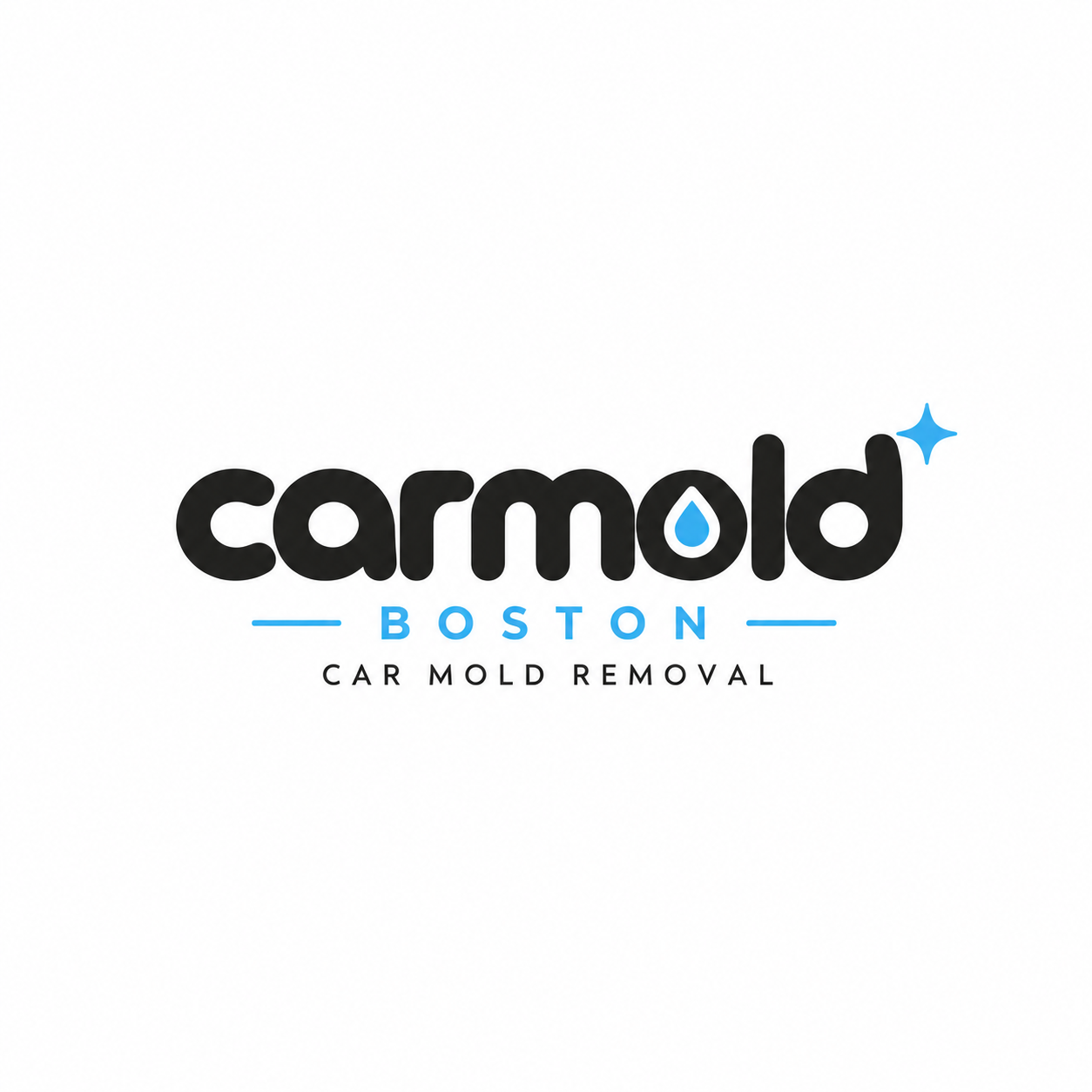 CarMold Boston — Car Mold Removal