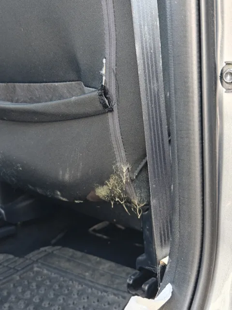 Close view of buildup along a Mazda 3 lower seat edge and adjacent carpeting